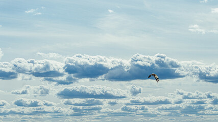 on the reservoir Surfing with a parachute