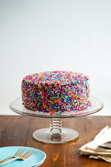 Chocolate layer cake with colorful sprinkles