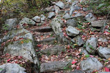 Red Leaves and Gray Rocks