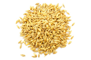 Pile of barley seeds isolated on white, top view. Barley seeds isolated on white background, top view. Grains of barley malt on a white background. Heap of barley grains isolated on white background.