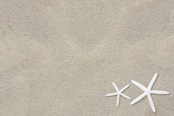 Fototapeta na wymiar starfish on beach sand sandy background and ideal for use in the design