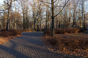 Alejka z betonowej kostki w Parku Kościuszki w Katowicach w słoneczny zimowy dzień. © Miroslaw