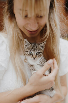 Baby Cat