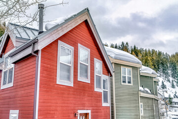 Exterior view of homes with cloudy sky and evergreens on snowy hill background