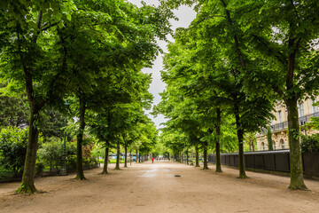 Beautiful garden view in Paris, France.
