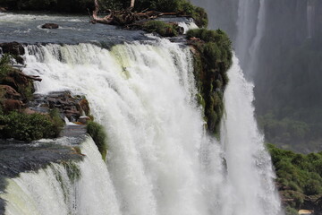 Fototapeta premium waterfall in the forest