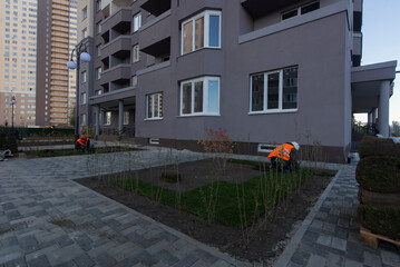 Laying rolls of green grass in lawns. Construction site. production of apartments, social housing.