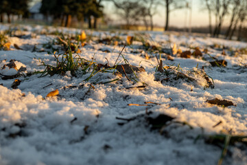 winter