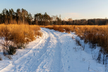 Зимняя дорога в поле. Солнечный морозный день.