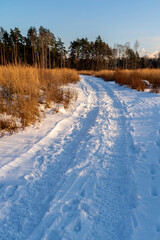 Зимняя дорога в поле. Солнечный морозный день.
