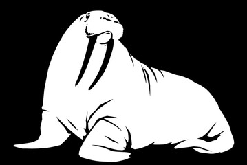black and white linear paint draw walrus illustration art