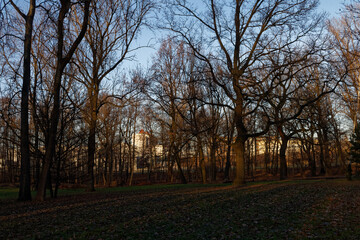 Park Kościuszki w Katowicach w słoneczny grudniowy dzień. Miejskie budynki prześwitują przez drzewa © Miroslaw