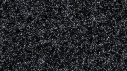 Fototapeta premium dandelion seeds blown in the wind