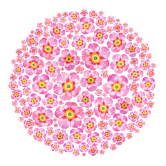 Watercolor pink peony flowers arrangement in round shape, isolated floral bouquet on white background