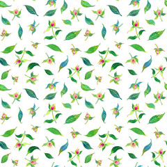 Watercolor pink peony buds and green leaves seamless pattern, floral digital paper on white background
