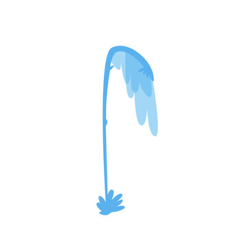 Jet d'eau
