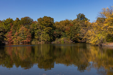 Fototapeta na wymiar Central Park with Colorful Trees during Autumn along the Lake in New York City