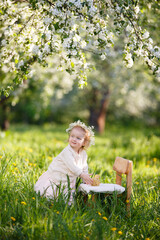 Little girl plays in blooming apple garden near a chair. Cute spring story. Toddler girl in white wreath near a little chair in apple garden. Happy child in beautiful spring sunny day