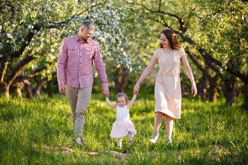 Naklejka na ściany i meble little daughter with parents walk in blooming apple garden. Mom loves her child. Spring story. Toddler girl with family in apple garden. Happy family in beautiful spring day. Tender relations