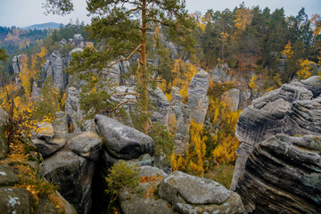 Sandstone cliffs Prachovske Skaly Prachov Rocks, Landscape with colorful trees in nature National Park Cesky Raj in autumn day, rock formation in Bohemian Paradise, Czech Republic