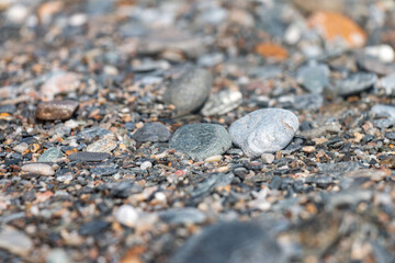 pebbles on the beach, stones, macro