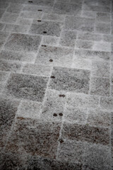 Footprints in the snow. Fingerprint of cats. Paws of an animal. Winter background. imprint paws.