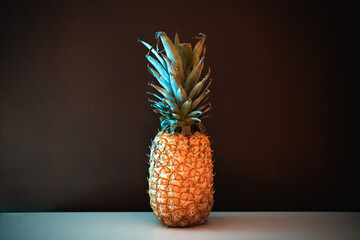 A close up portrait of an old shabby pineapple illuminated with colored lights. Space for texts and graphics. A party and celebration concept.