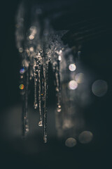Obraz na płótnie Canvas Natural icicle on blur background