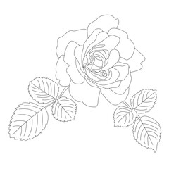 Outline contour of a beautiful rose with two leaves. Hand-drawn vector illustration, line art. Black and white drawing, fashionable silhouette of a flower. For textiles, fabric printing, crafting, web