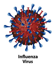 Influenza virus illustration. Structures of the flu virion close up with a white background.