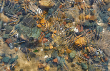 Pebble stones in water under ice.