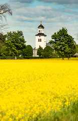 church by rapeseed field