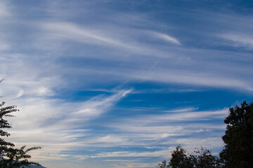 picture of dark blue sky with white cloud lines and trees in evening