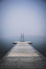 in the fog