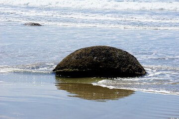 The Moeraki Boulders are spherical rocks on Koekohe Beach on the Otago coast of New Zealand's South Island