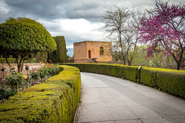 Fototapeta na wymiar palace of alhambra in granada, garden