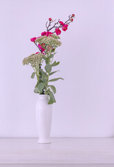 succulents and an artificial apple tree branch in a white vase on a light background