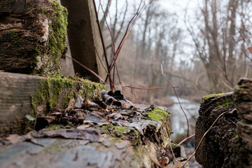 Detail close up of a wooden, weathered and mossy bridge in Austria. A blurry river or creek in the background and a beautiful selective focus on the rotten and mossy wooden beams.