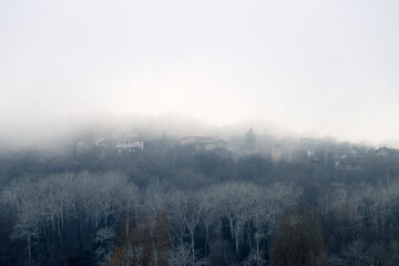 fog over forest and village in mountains