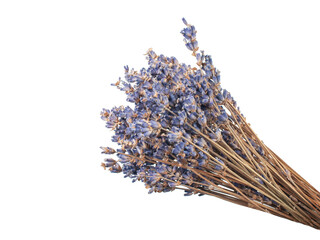 Dried lavender flowers isolated on the white background