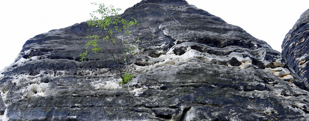 Zerklüftete Sandsteinfelsen im Elbsandsteingebirge