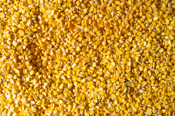 corn, yellow corn texture