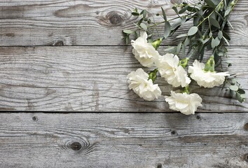 Сarnation flowers over gray wooden background, top view, copy space. Selective focus