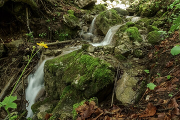 little waterfall between rocks with green moss