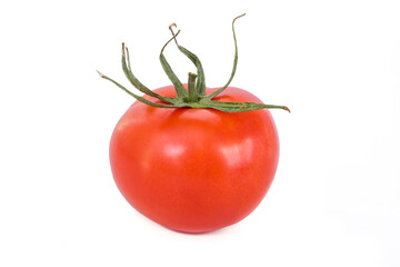 one red tomato isolated on white background. kind of vegetables.