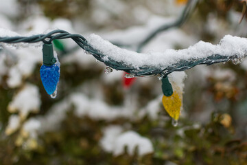 Strand of Christmas twinkle lights hanging on boxwood bush covered in snow and dripping icicles 