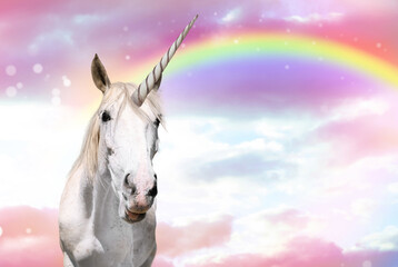 Magic unicorn in beautiful sky with rainbow and fluffy clouds. Fantasy world © New Africa