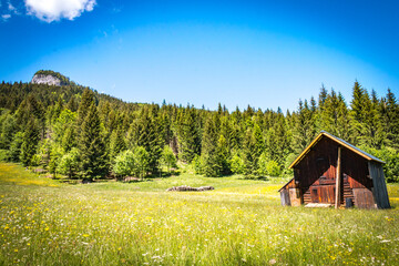 chalet in the mountains, austria, salzkammergut