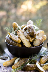 schüssel mit gewürzgurken, zwiebelringen und lorbeerblättern auf balkon mit blik in den garten 