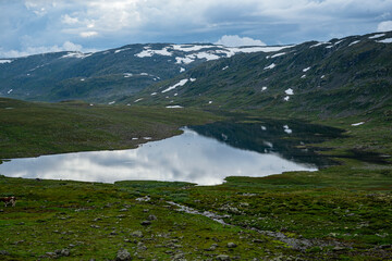 Fototapeta na wymiar Norwegian landscape with snow fields and clouds